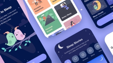 w-developer-product-5-min